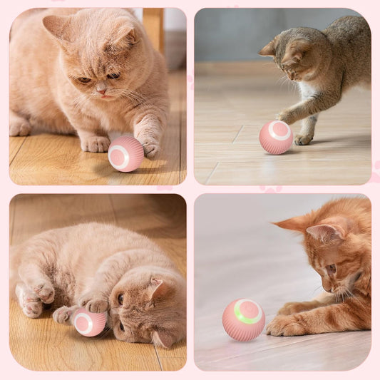 CAT BALL